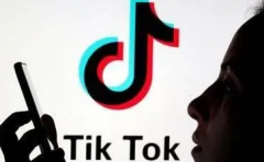 国内卖家如何通过Tik Tok做跨境电商呢？
