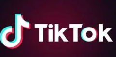如何才能让Tik Tok的视频爆火？有哪些技巧？